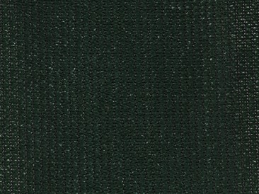 Midnight green Midnight green